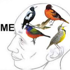 Birds of a feather