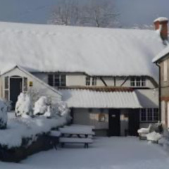 December love - All Lyrics by C Dyball