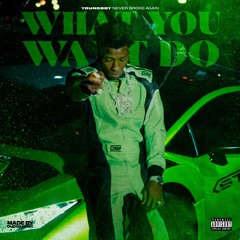 NBA YoungBoy - What You Want Do (Offbeat)