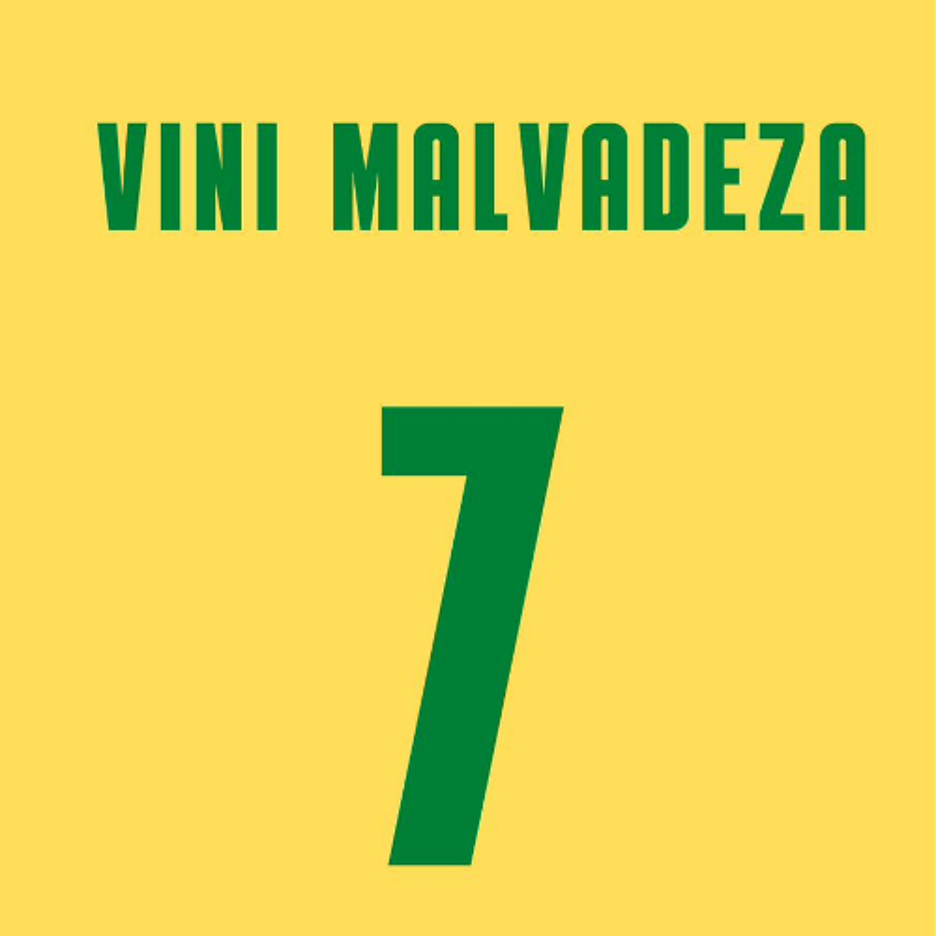 VINI MALVADEZA - ( DJ LINDÃO E DJ KALU ) episode artwork