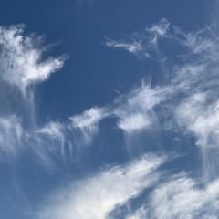Electric Clouds