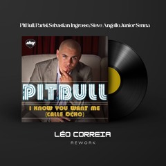 FreeDL Pitbull, Parisi, S. Ingrosso, Steve A., Junior Senna- I Know You Want Me (Léo Correia Rework)