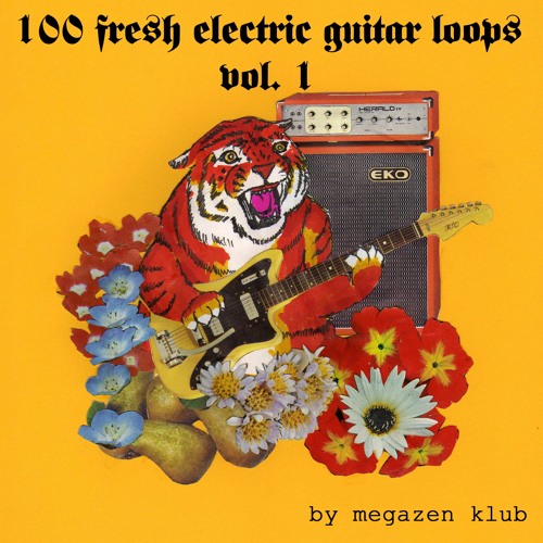 Free electric cheap guitar loops
