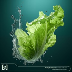 Mully & Tekagrey - Crispy Lettuce (Radio Mix)