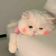 Neu luc do | Slowed & Reverb