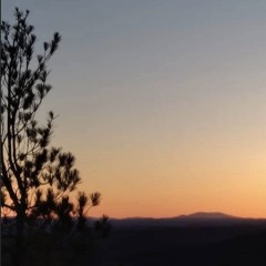 Personal Space Invader