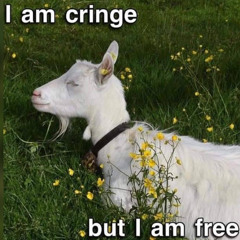 Pawdcast Ep 4: Lean Into The Cringe