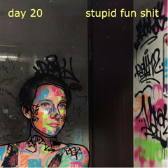 Stupid Fun Shit