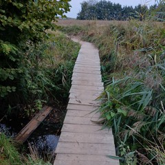 Brücken statt Mauern.mp3