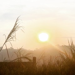 Sunrise - WilSol Feat. NooN