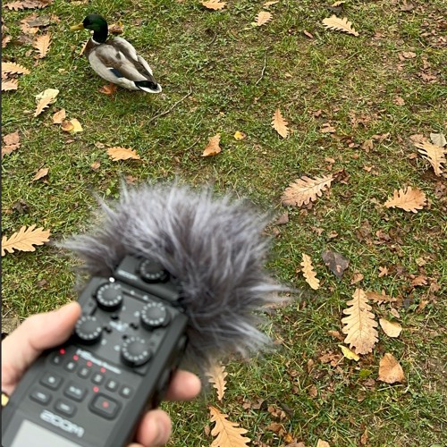 Arboretum Ambient (Soundscape / Music)