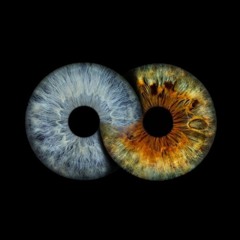 Augen - Sanja feat Polly