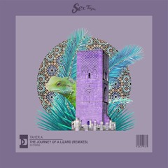 Taher.A - The Journey Of A Lizard (Unes Remix)