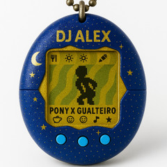 Pony X Gualtiero