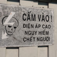Что мопсы, что шпицы..