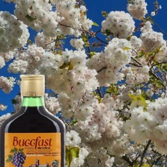 C.B.F   (Free Download)