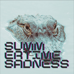 Summertime Sadness [ando remix]
