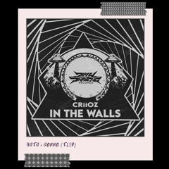 Criioz - IN THE WALLS (YGFG x GAMMA FLIP)
