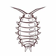 Scuttle - Lrn2Fly