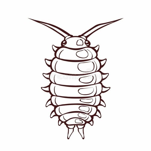 Scuttle - Lrn2Fly