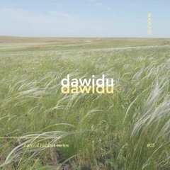 floating through the steppes ◦ dawidu