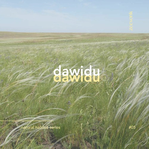 floating through the steppes ◦ dawidu