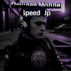 Не обижай господина Министра(PM, Speed_Up)