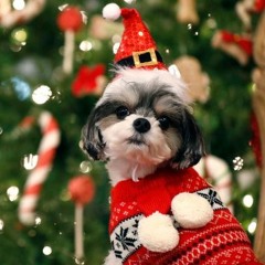 Little Christmas song.