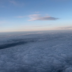 Differences - Slowed