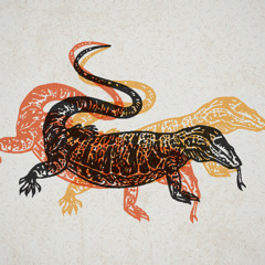Komodo