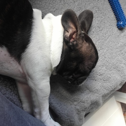 String Quartet 2 ('From Ireland'), Mvt 2, 'Cinniúnach' (Tragic) (Completed)