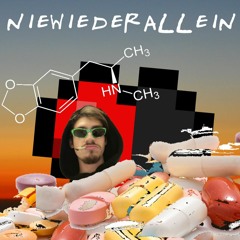 niewiederallein (prod. @laykx_)