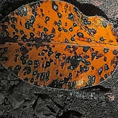 BTGXXDE&sk3tch-Peaceful wraith-[Prod.dash]