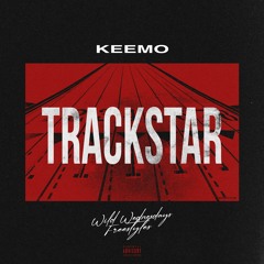 Trackstar Freestyle
