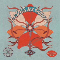 PREVIEW /// B2 - Petals In Sound "Days" (Dzc.'s Dub Version)