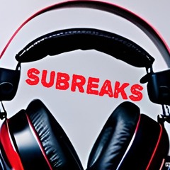 Molotov - Puto (SubreakS remix)