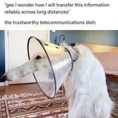 Body – The Presidents Of The United States Of America