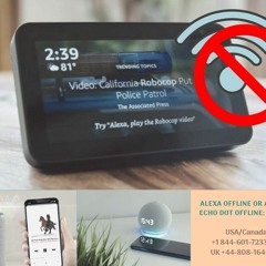 Alexa Offline Or Amazon Echo Dot Offline