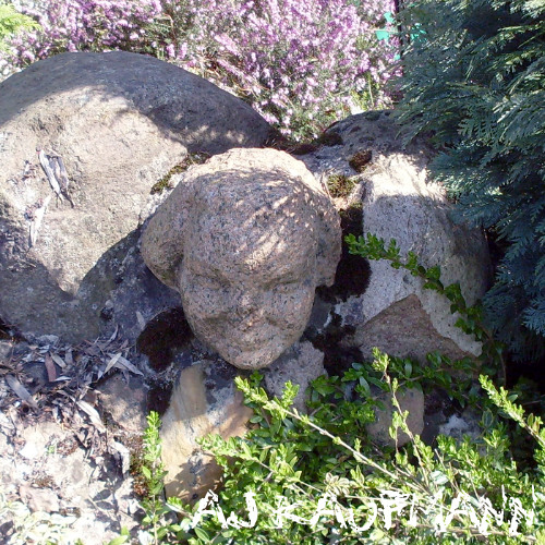 "Planet Sounds of May" (2019).
