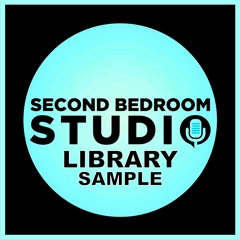 Computer Party - Upbeat, Funky, Synthy (©2022)