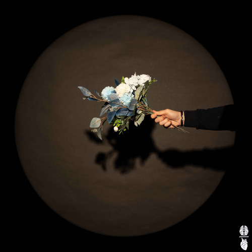 Brainheart, Sis - A Chance To Bloom