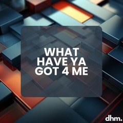 WHAT YA GOT 4 ME (Remix)