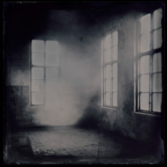 Transience