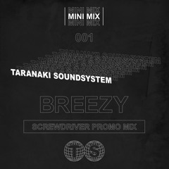 Breezy - Mini Mix 001 - Screwdriver