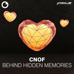 Behind Hidden Memories