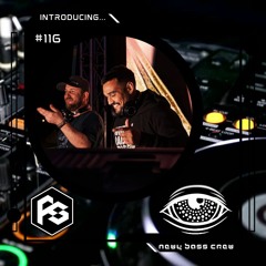 Introducing... Guest Mix #116 FlowState
