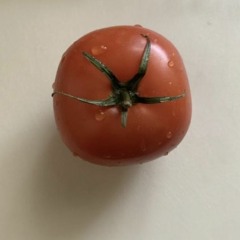 아무 생각 없이 듣게되는 playlist