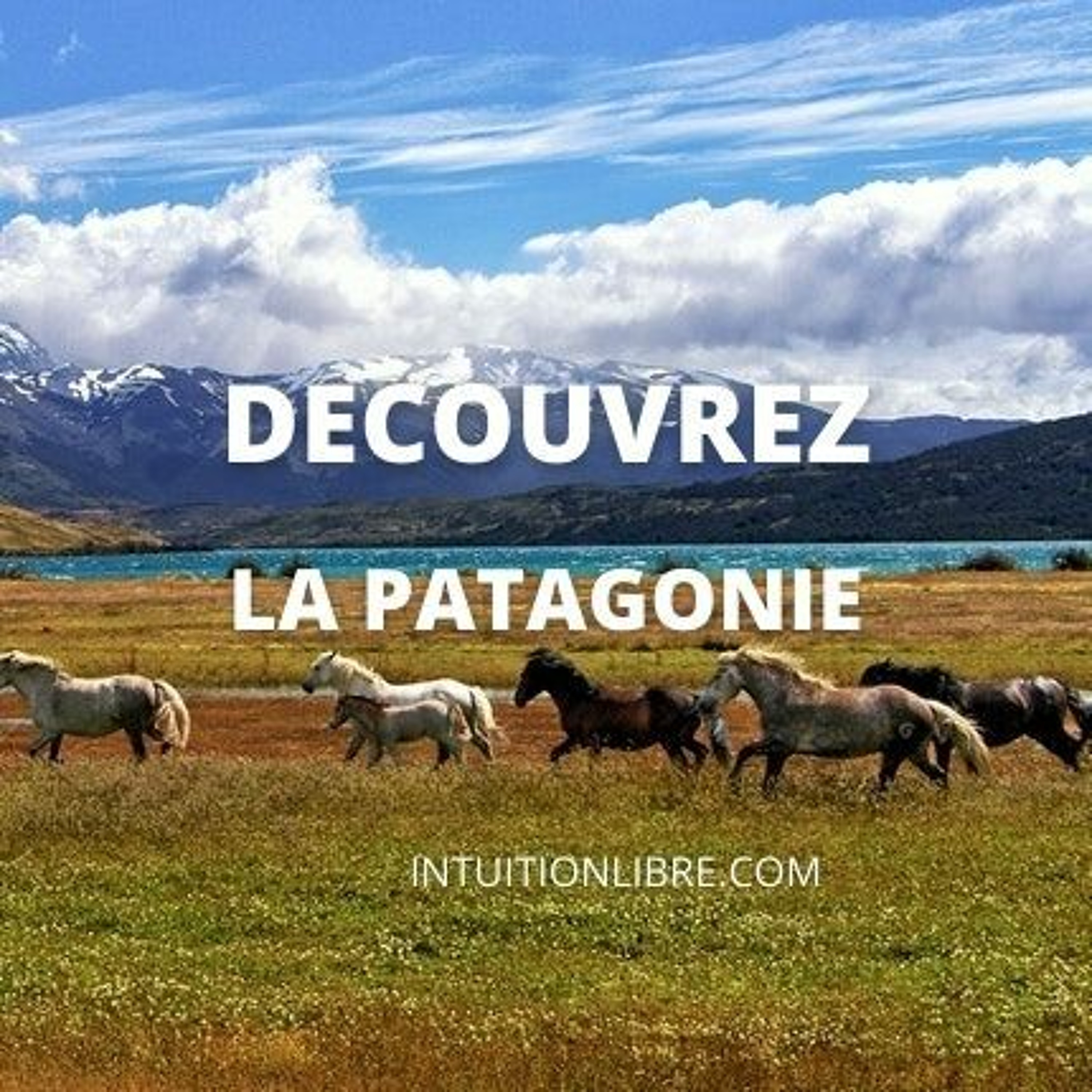 intuitionlibre.com actu vue par la voyance