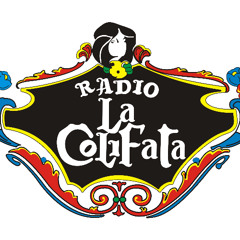 La precarité et l'Algerie