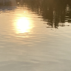 ที่มี